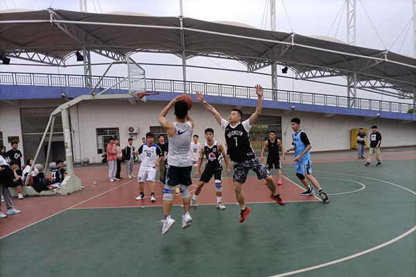 篮球2_副本.png